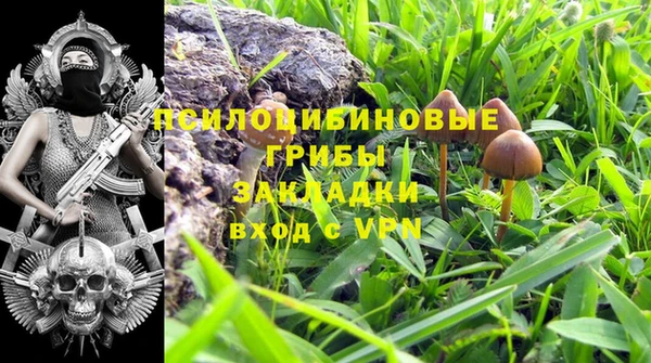 ГАЛЛЮЦИНОГЕННЫЕ ГРИБЫ Болхов