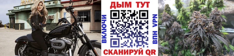 Каннабис Bruce Banner  Бронницы 